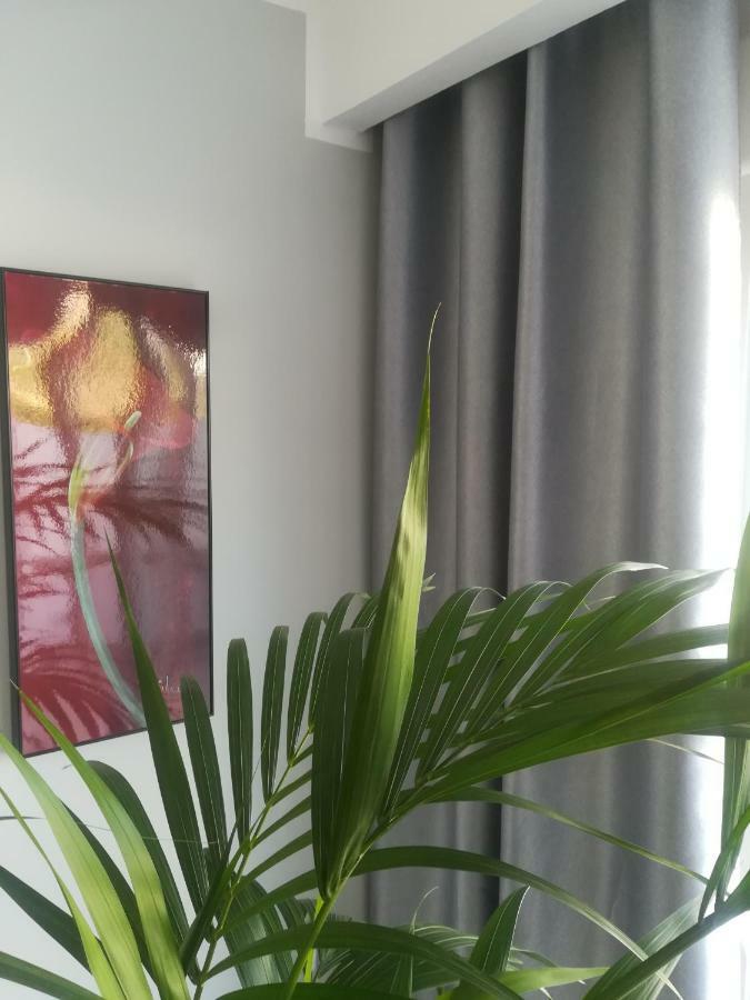 דירות אדחה Luxury Townhouse מראה חיצוני תמונה